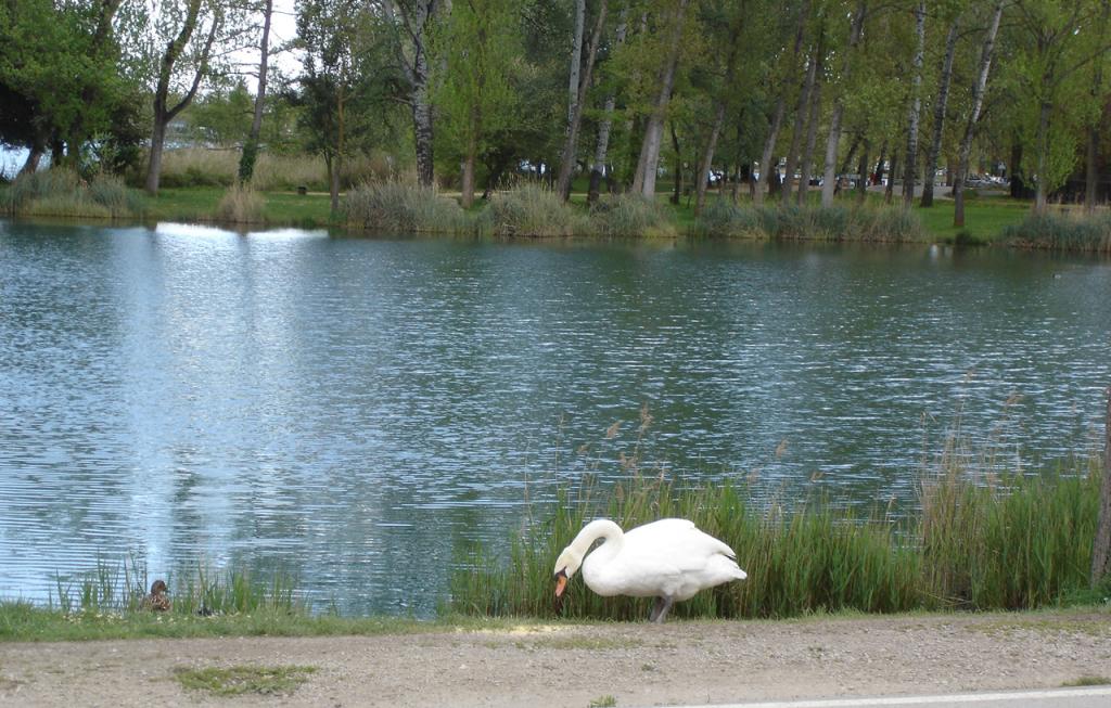 Foto de Banyoles (Girona), España