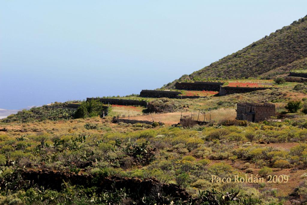 Foto de Granadilla de Abona (Santa Cruz de Tenerife), España