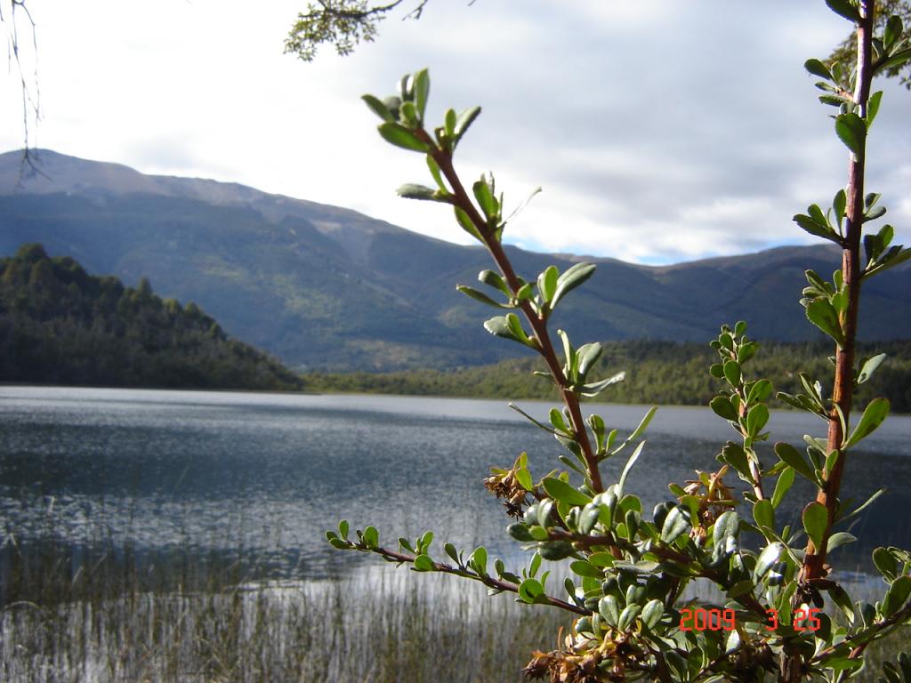 Foto de San Martín de los Andes (Neuquén), Argentina