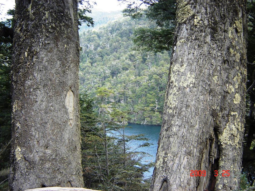 Foto de San Martín de los Andes (Neuquén), Argentina