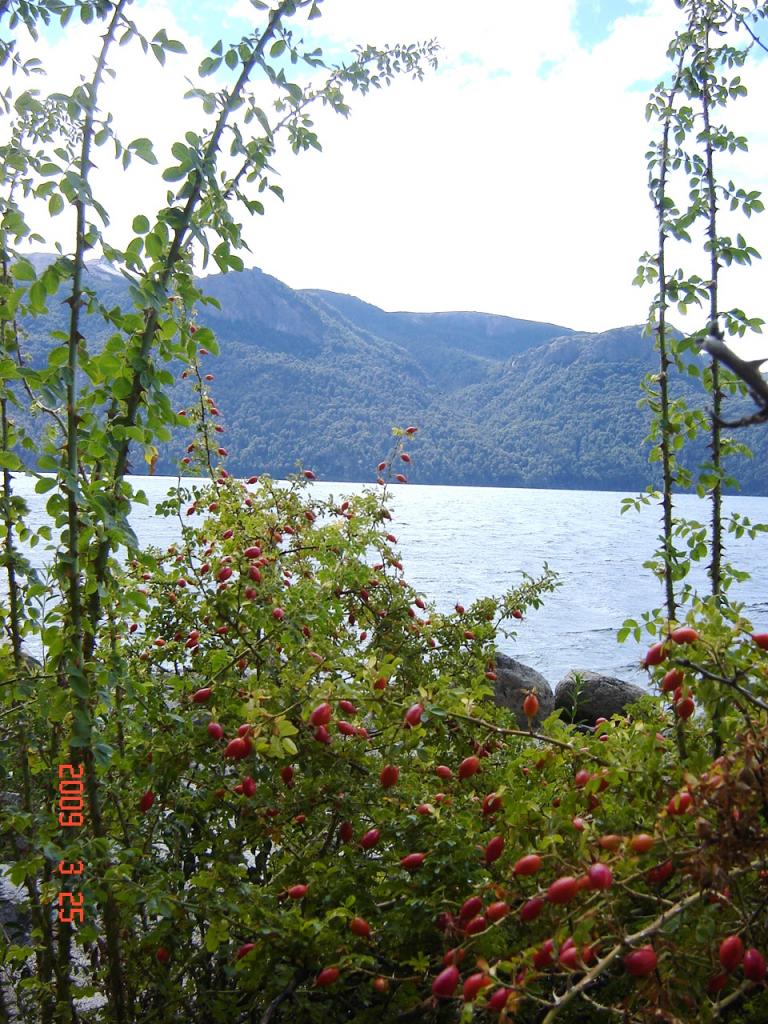 Foto de San Martín de los Andes (Neuquén), Argentina