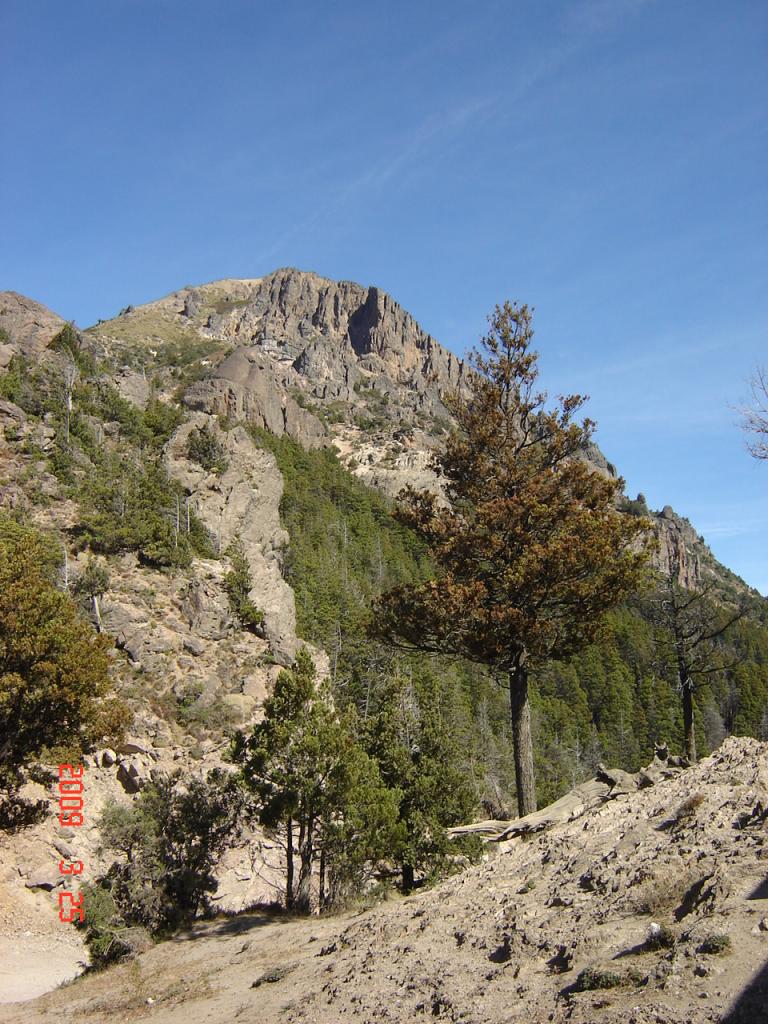 Foto de San Martín de los Andes (Neuquén), Argentina