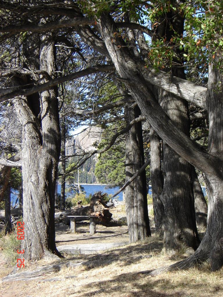 Foto de San Martín de los Andes (Neuquén), Argentina