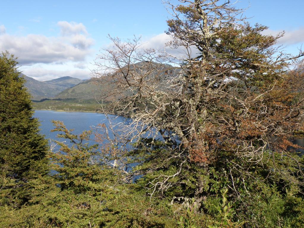 Foto de San Martín de los Andes (Neuquén), Argentina