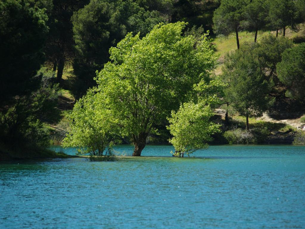 Foto de El Chorro (Málaga), España