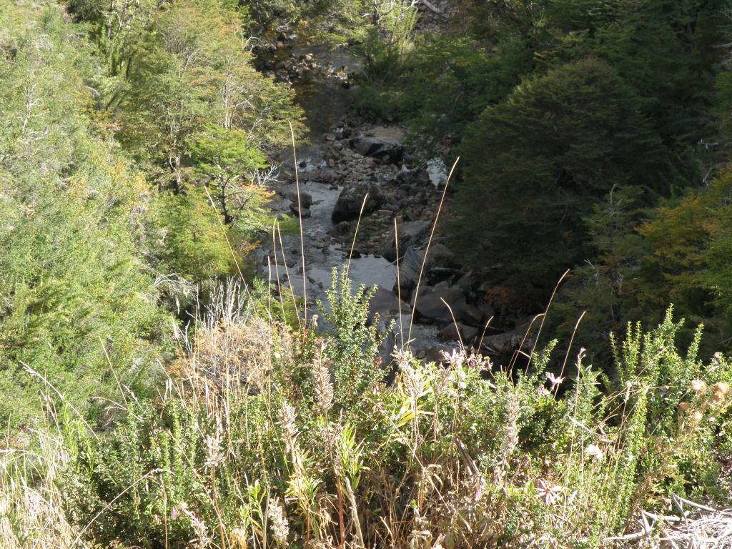 Foto de San Martín de los Andes (Neuquén), Argentina