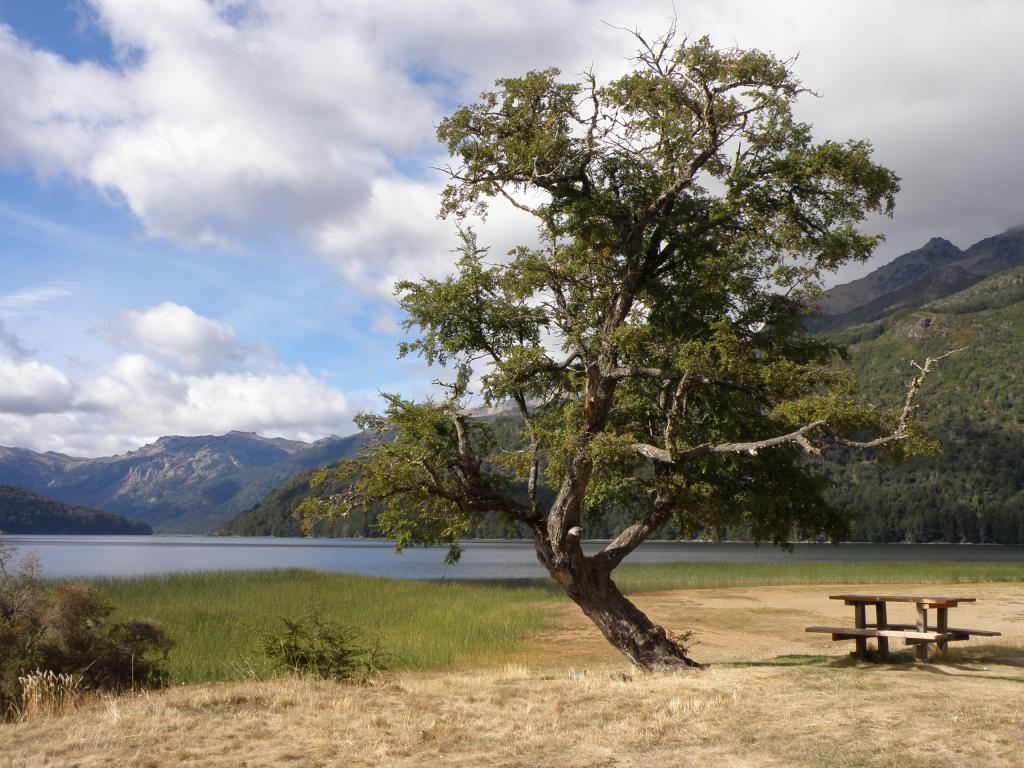 Foto de San Martín de los Andes (Neuquén), Argentina