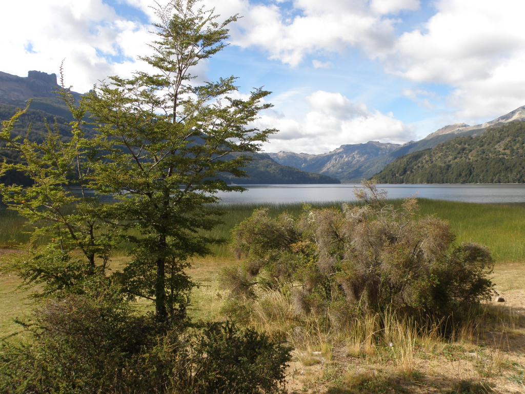 Foto de San Martín de los Andes (Neuquén), Argentina