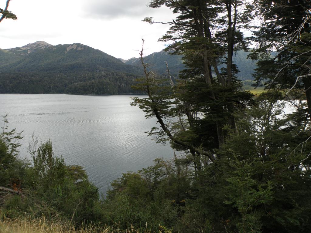 Foto de San Martín de los Andes (Neuquén), Argentina