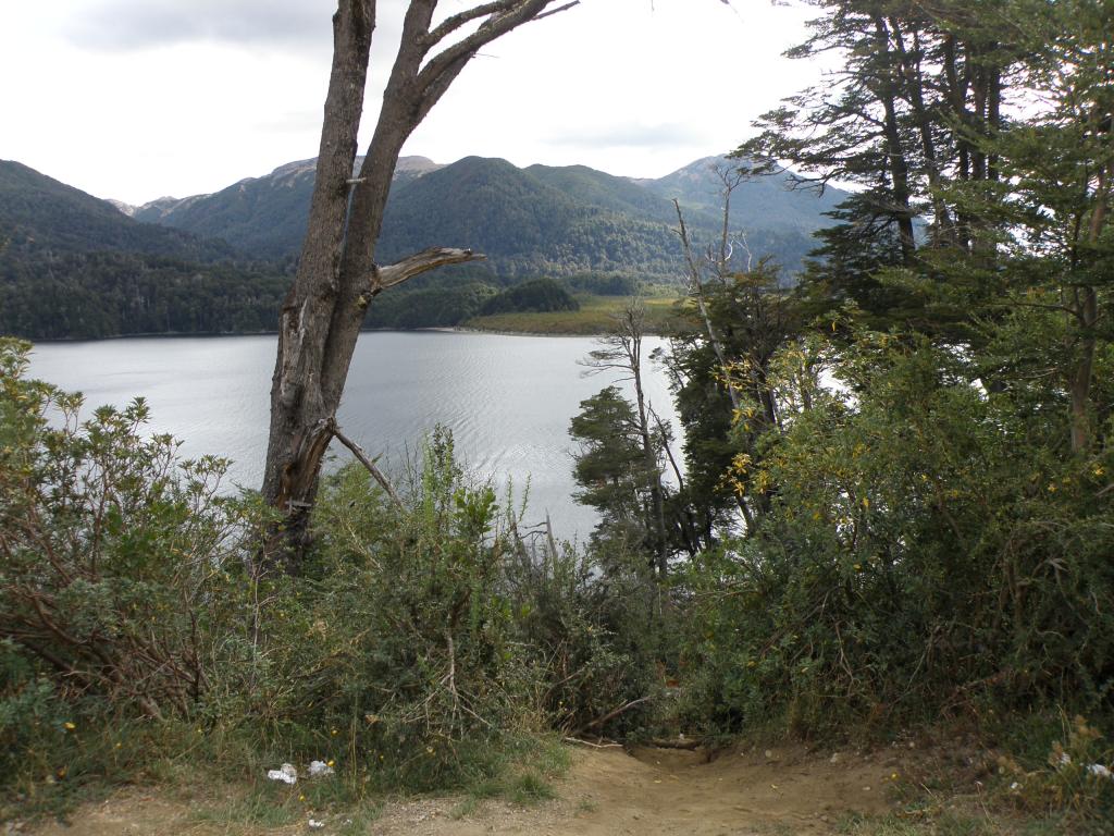 Foto de San Martín de los Andes (Neuquén), Argentina