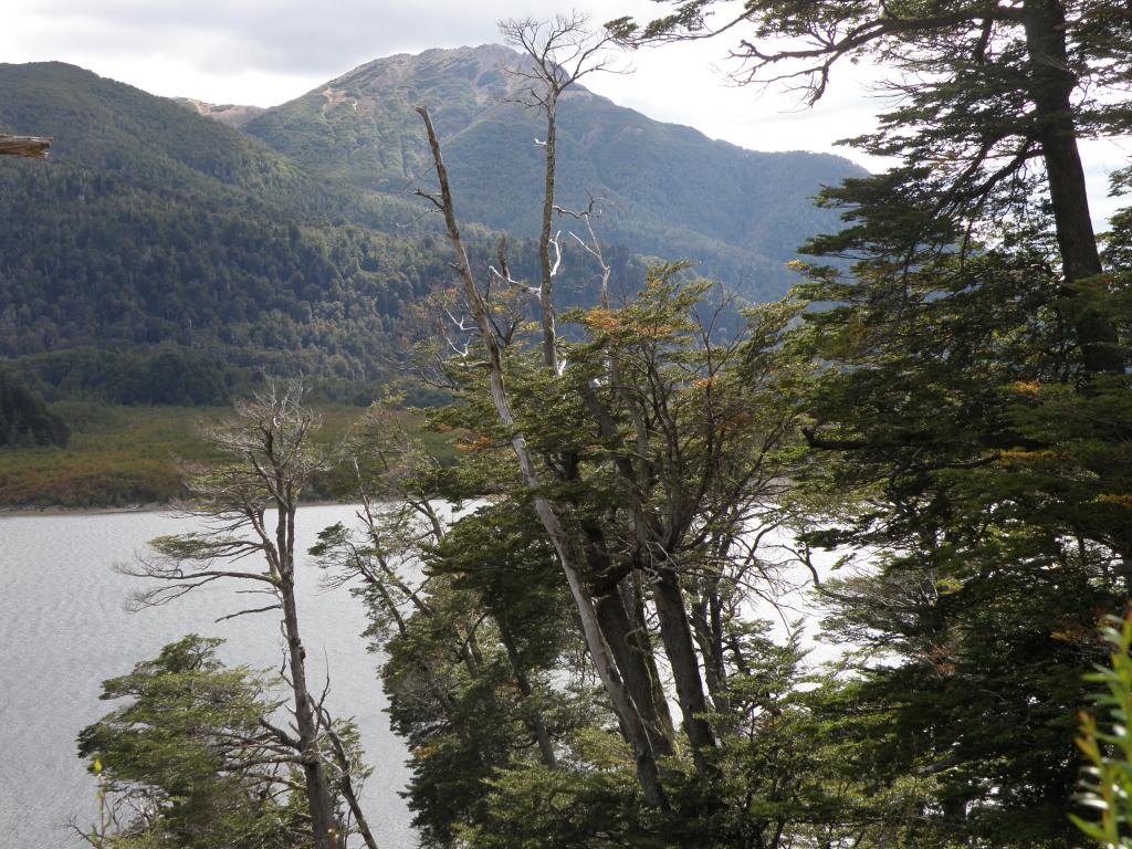 Foto de San Martín de los Andes (Neuquén), Argentina