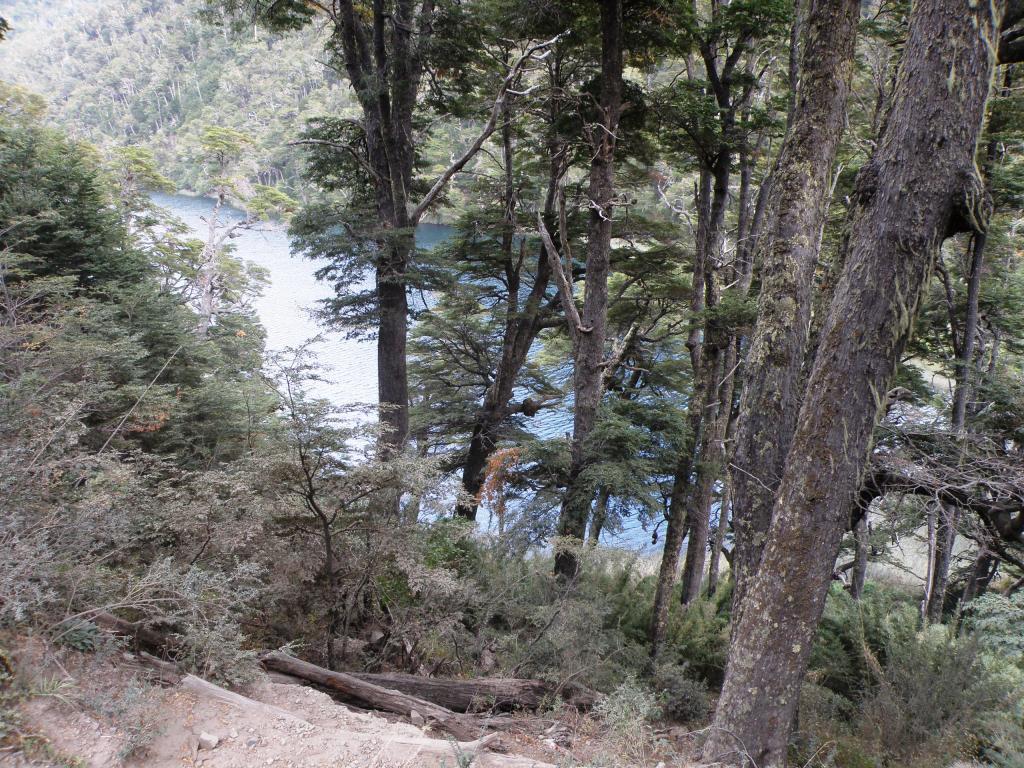 Foto de San Martín de los Andes (Neuquén), Argentina