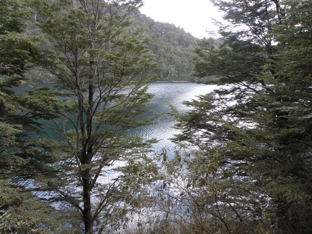 Foto de San Martín de los Andes (Neuquén), Argentina