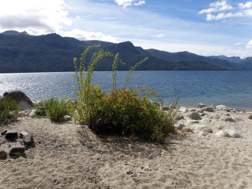 Foto de San Martín de los Andes (Neuquén), Argentina