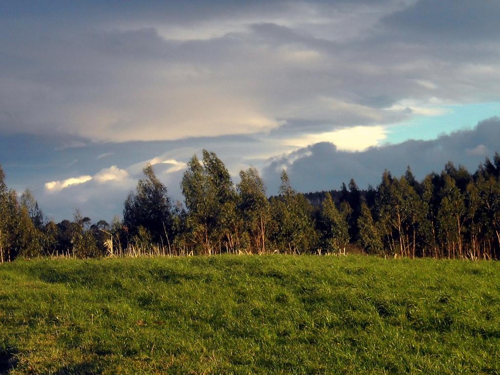 Foto de Parbayon (Cantabria), España