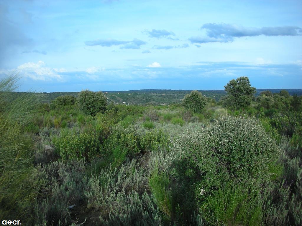 Foto de Valdemorillo (Madrid), España