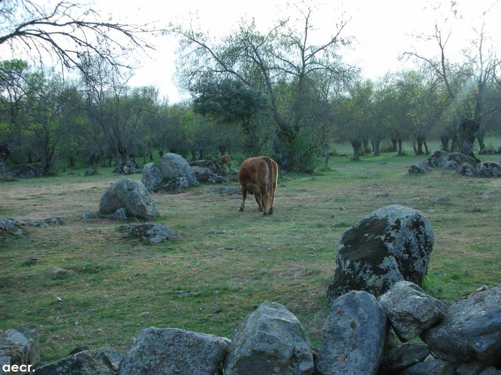 Foto de Peralejo (Madrid), España