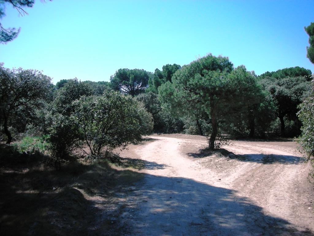 Foto de Majadahonda (Madrid), España