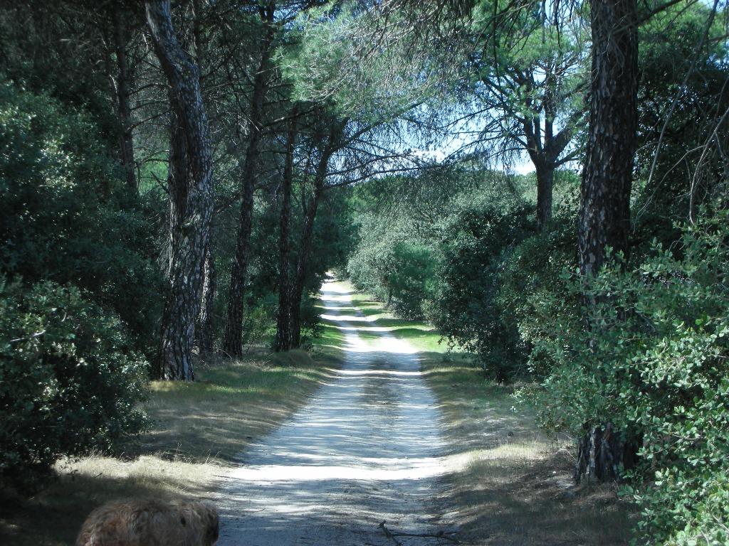 Foto de Majadahonda (Madrid), España