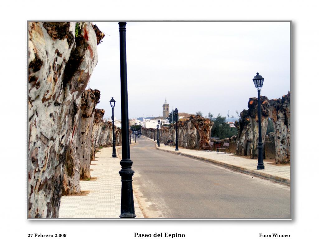 Foto de El Pedroso (Sevilla), España