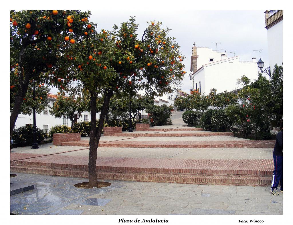 Foto de El Pedroso (Sevilla), España