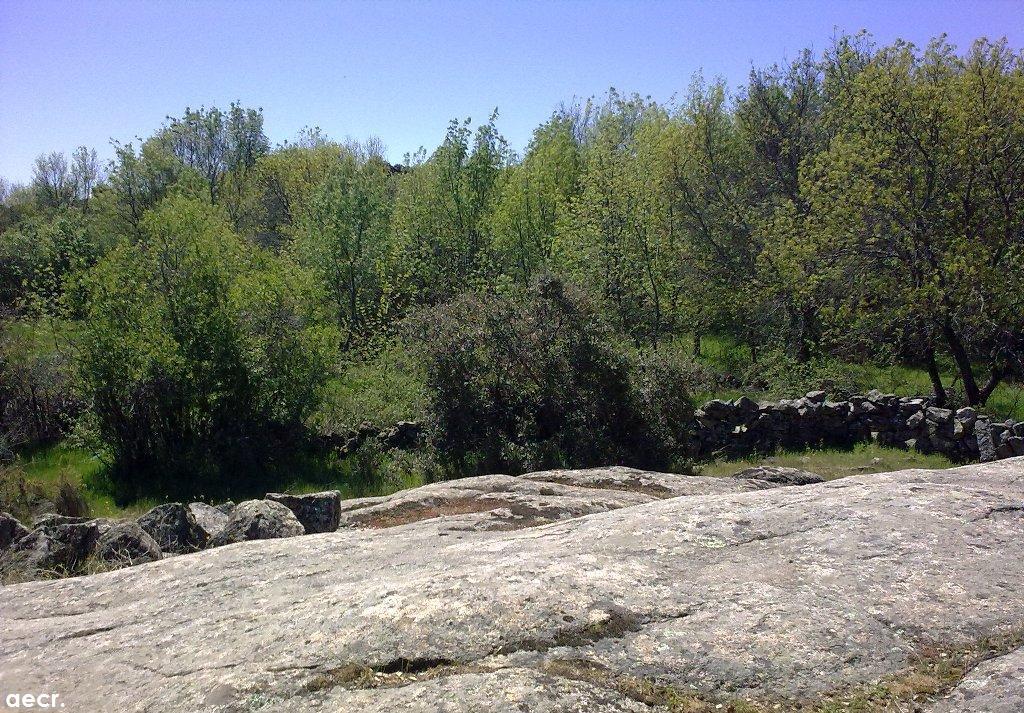 Foto de Fresnedillas de la Oliva (Madrid), España