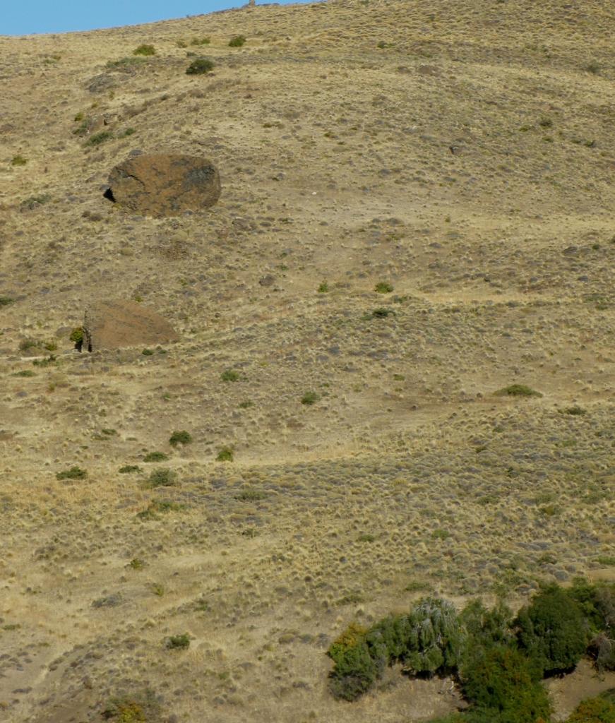 Foto de Aluminé (Neuquén), Argentina