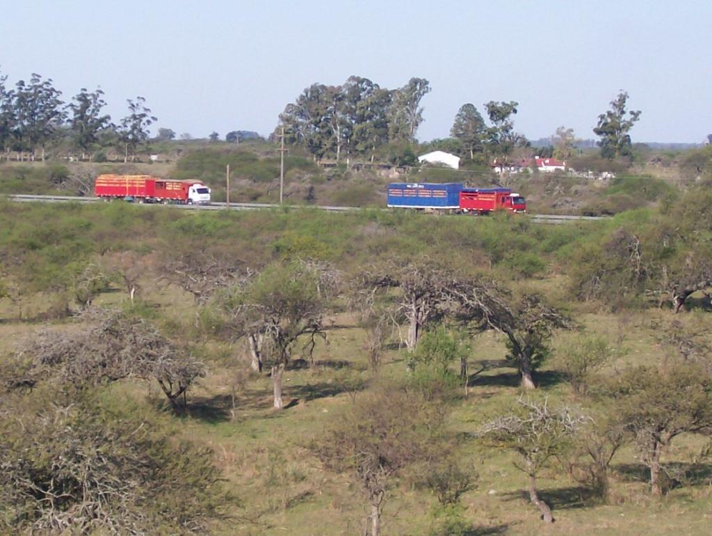 Foto de Los Conquistadores, Argentina