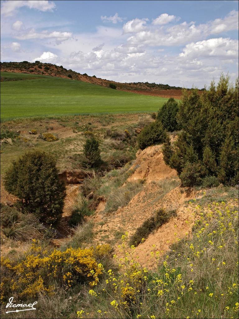 Foto de Alconchel de Ariza (Zaragoza), España