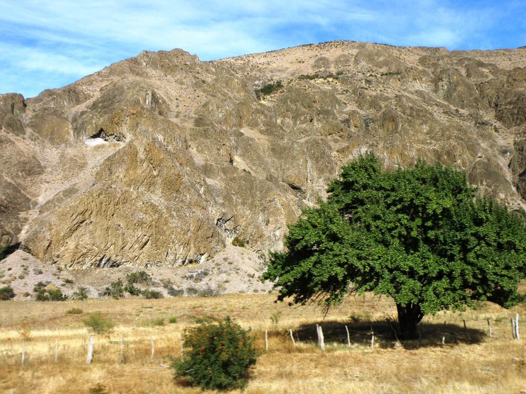 Foto de Aluminé (Neuquén), Argentina