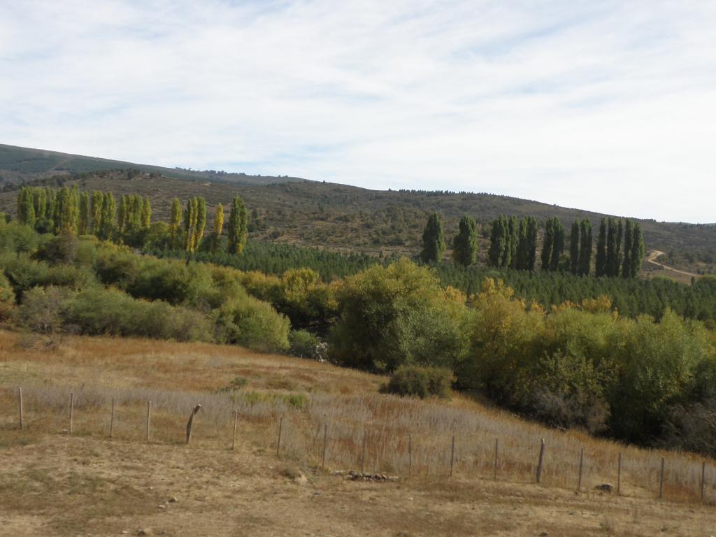 Foto de Aluminé (Neuquén), Argentina