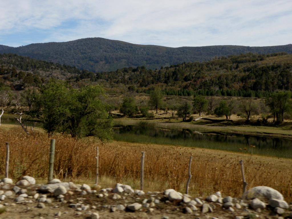 Foto de Aluminé (Neuquén), Argentina