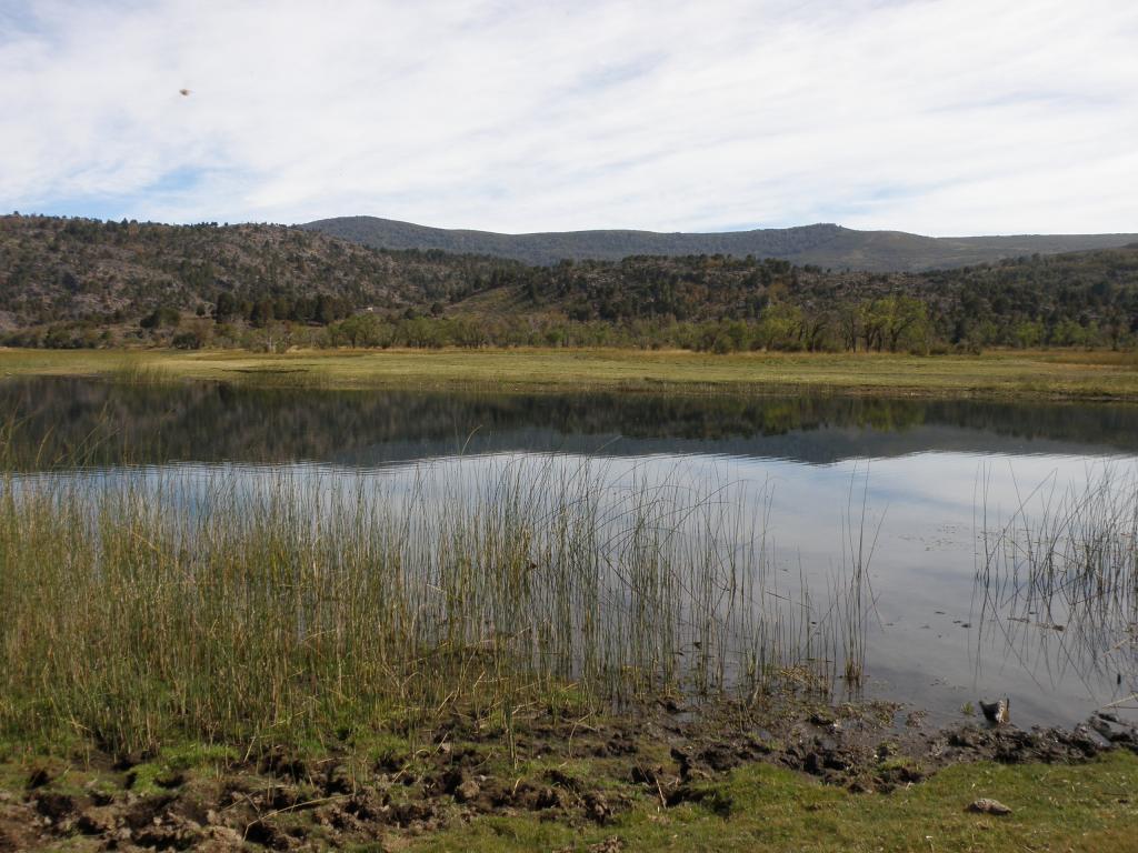 Foto de Aluminé (Neuquén), Argentina