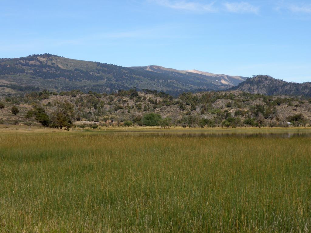 Foto de Aluminé (Neuquén), Argentina