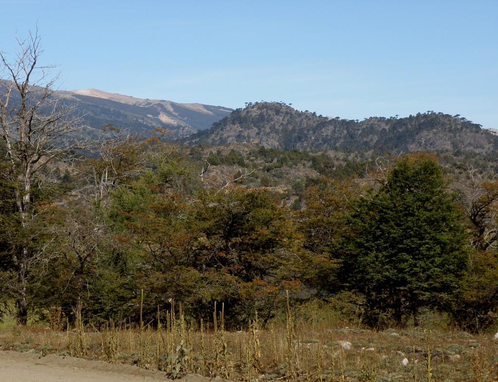 Foto de Aluminé (Neuquén), Argentina