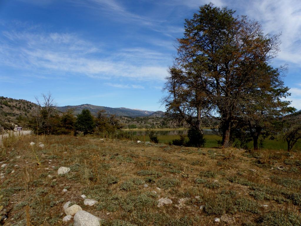 Foto de Aluminé (Neuquén), Argentina