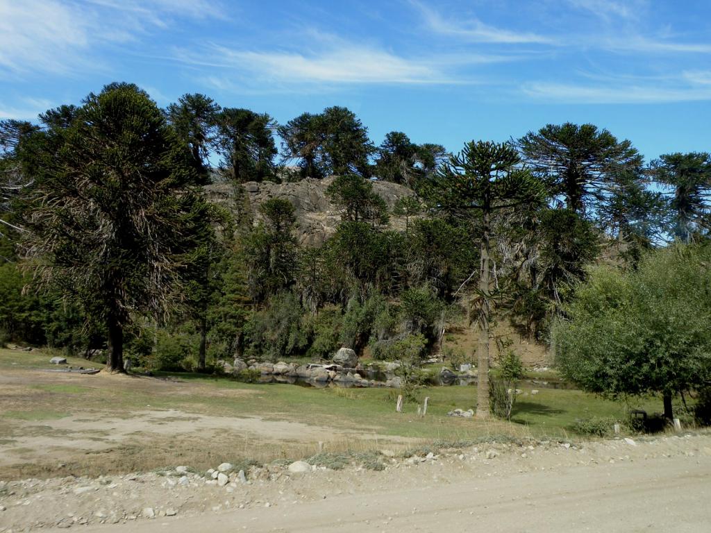 Foto de Aluminé (Neuquén), Argentina