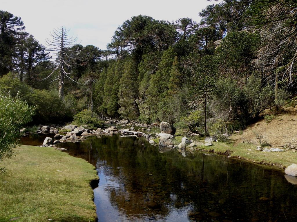 Foto de Aluminé (Neuquén), Argentina