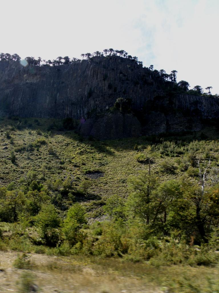 Foto de Aluminé (Neuquén), Argentina