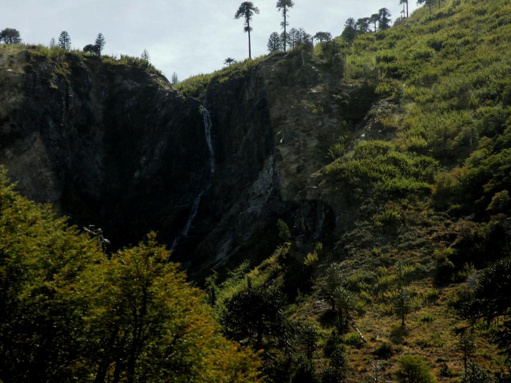 Foto de Aluminé (Neuquén), Argentina