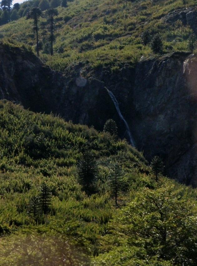 Foto de Aluminé (Neuquén), Argentina