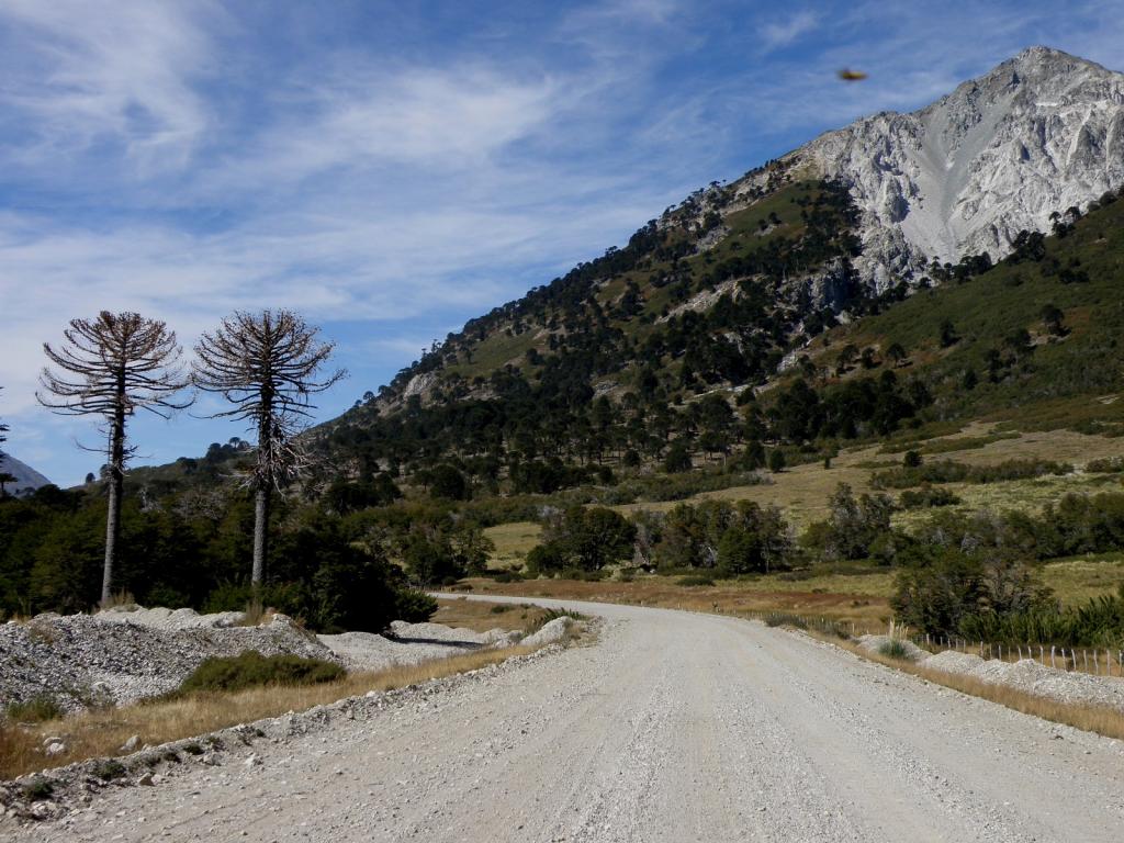 Foto de Aluminé (Neuquén), Argentina