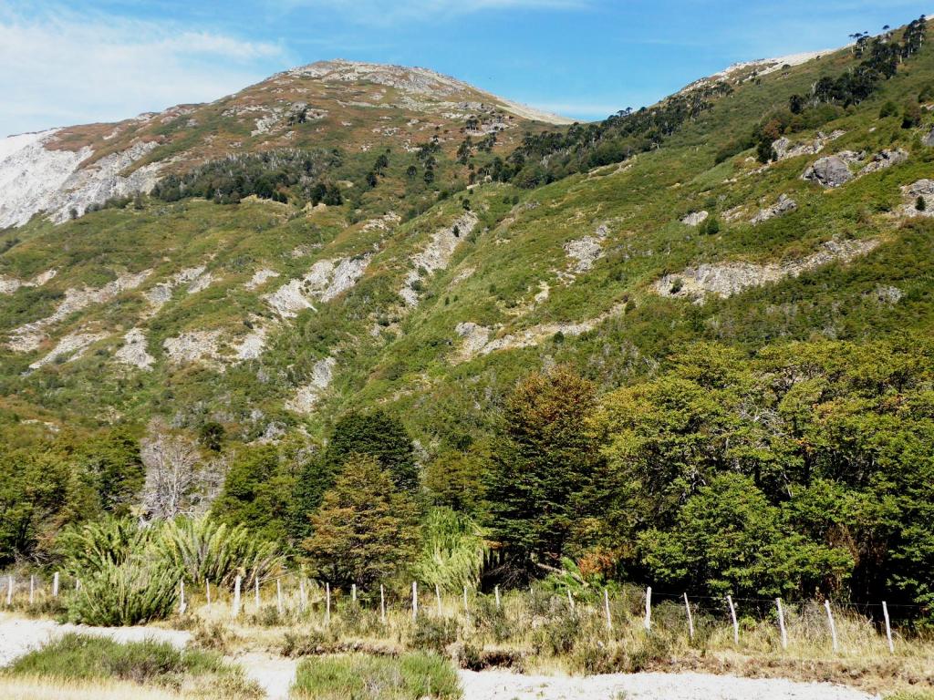 Foto de Aluminé (Neuquén), Argentina