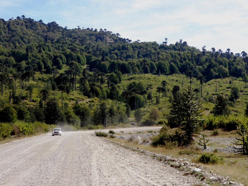 Foto de Aluminé (Neuquén), Argentina