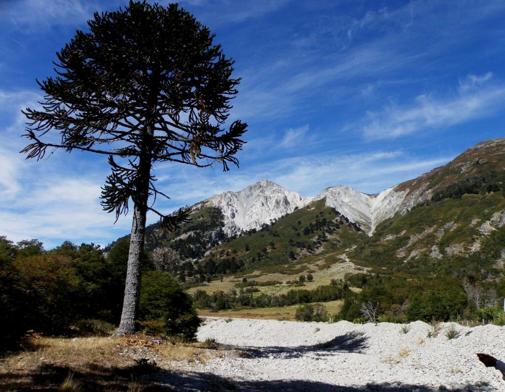 Foto de Aluminé (Neuquén), Argentina