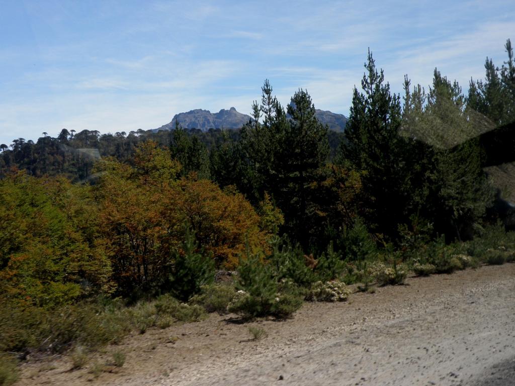 Foto de Aluminé (Neuquén), Argentina