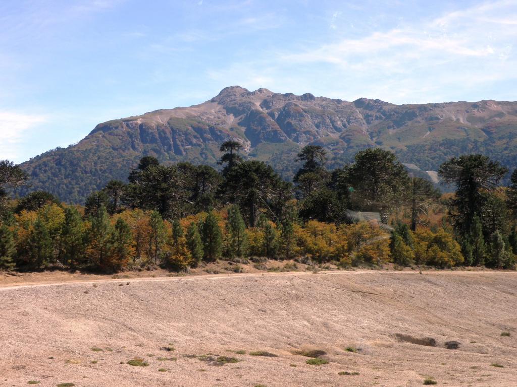 Foto de Aluminé (Neuquén), Argentina