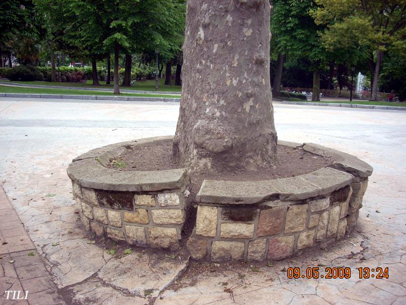 Foto de Oviedo (Asturias), España