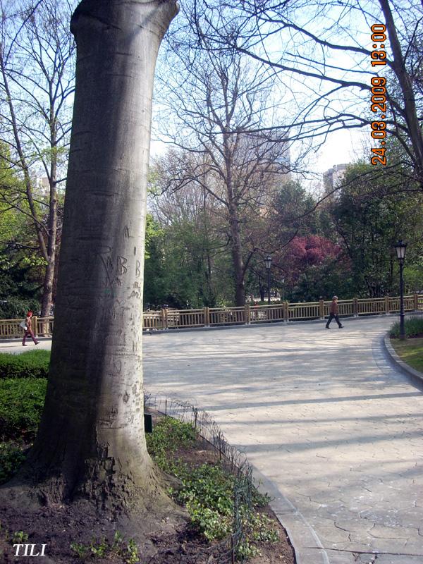 Foto de Oviedo (Asturias), España