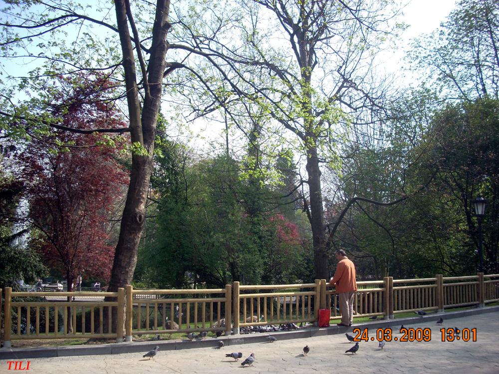 Foto de Oviedo (Asturias), España